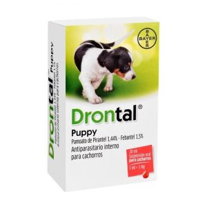 Drontal Puppy4