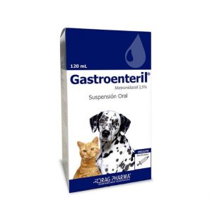 Gastroenteril3