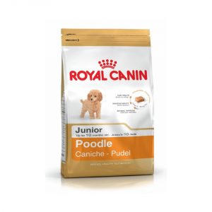 Royal canin poodle junior