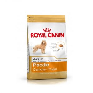 Royal canin poodle2