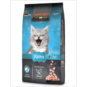 Leonardo kitten 1.8 kg